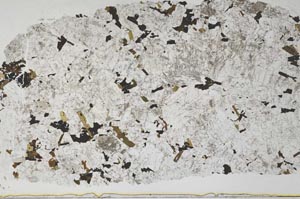Plane Polarized, S52640