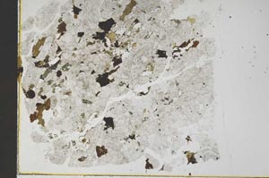 Plane Polarized, S52647