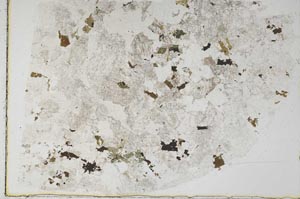 Plane Polarized, S52652