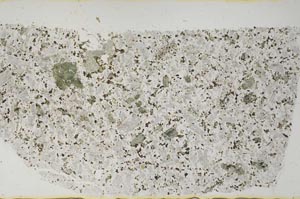 Plane Polarized, S52667