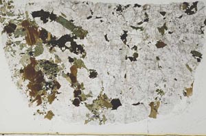 Plane Polarized, S52668