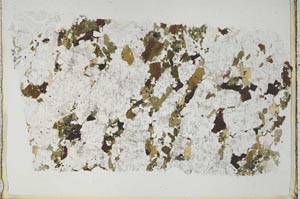 Plane Polarized, S52672