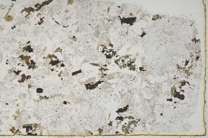 Plane Polarized, S52677