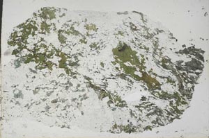 Plane Polarized, S52686