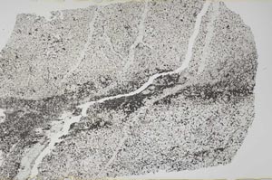 Plane Polarized, S52710