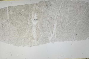 Plane Polarized, S52713