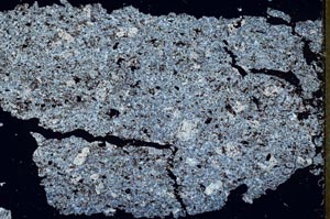 Cross Polarized, S52717