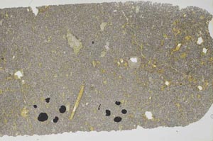 Plane Polarized, S52719