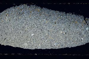 Cross Polarized, S52720