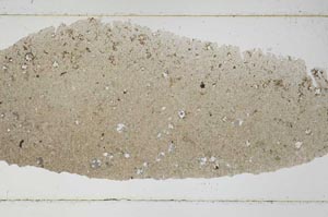 Plane Polarized, S52720