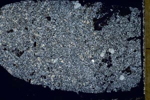 Cross Polarized, S52721