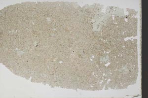 Plane Polarized, S52721