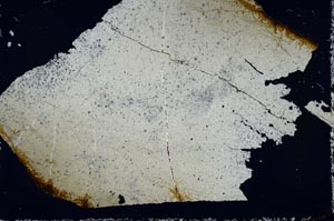 Cross Polarized, S52722