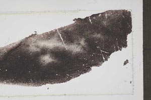 Plane Polarized, S52726
