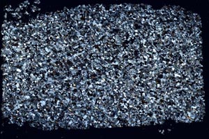 Cross Polarized, S52731