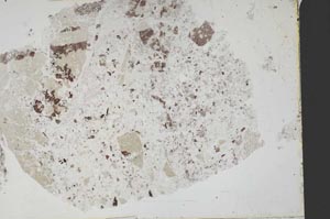 Plane Polarized, S52732