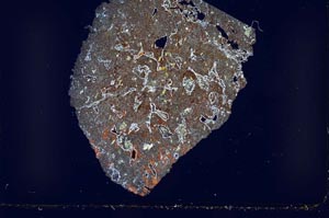 Cross Polarized, S52752