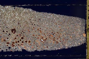 Cross Polarized, S52778