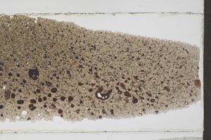 Plane Polarized, S52778