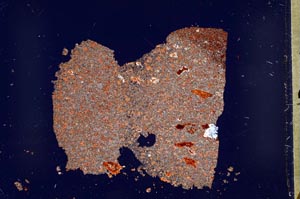 Cross Polarized, S52779