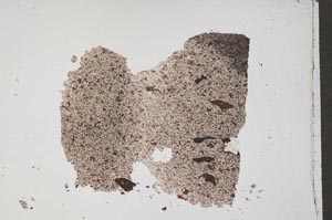 Plane Polarized, S52779