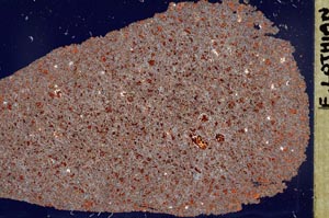 Cross Polarized, S52780