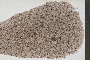 Plane Polarized, S52780