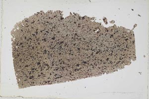 Plane Polarized, S52781