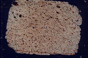 Cross Polarized, S52782