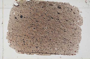 Plane Polarized, S52782