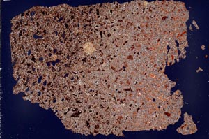 Cross Polarized, S52783