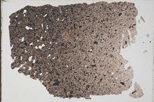 Plane Polarized, S52783