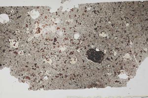 Plane Polarized, S52785