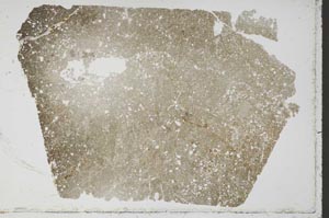 Plane Polarized, S52787