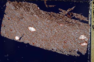 Cross Polarized, S52792