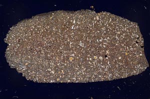 Cross Polarized, S52793