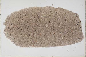 Plane Polarized, S52793