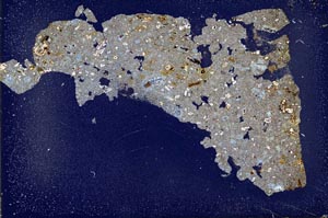 Cross Polarized, S52798