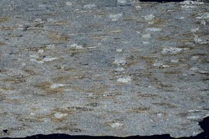 Cross Polarized, S52888