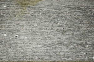 Plane Polarized, S52891