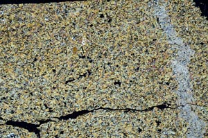 Cross Polarized, S52892