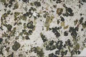 Plane Polarized, S52909