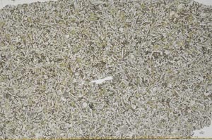 Plane Polarized, S52975
