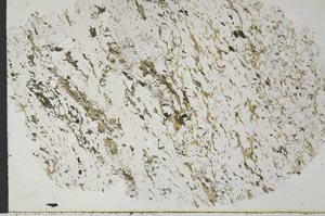 Plane Polarized, S52989