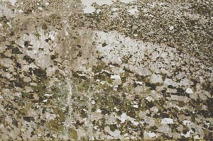 Plane Polarized, S53013