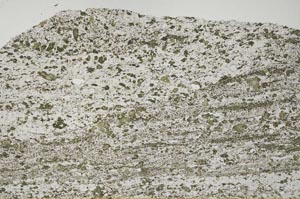 Plane Polarized, S53027