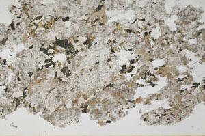 Plane Polarized, S53031