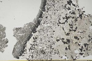 Plane Polarized, S53038