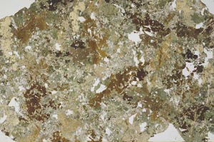 Plane Polarized, S53058
