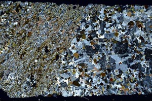 Cross Polarized, S53061